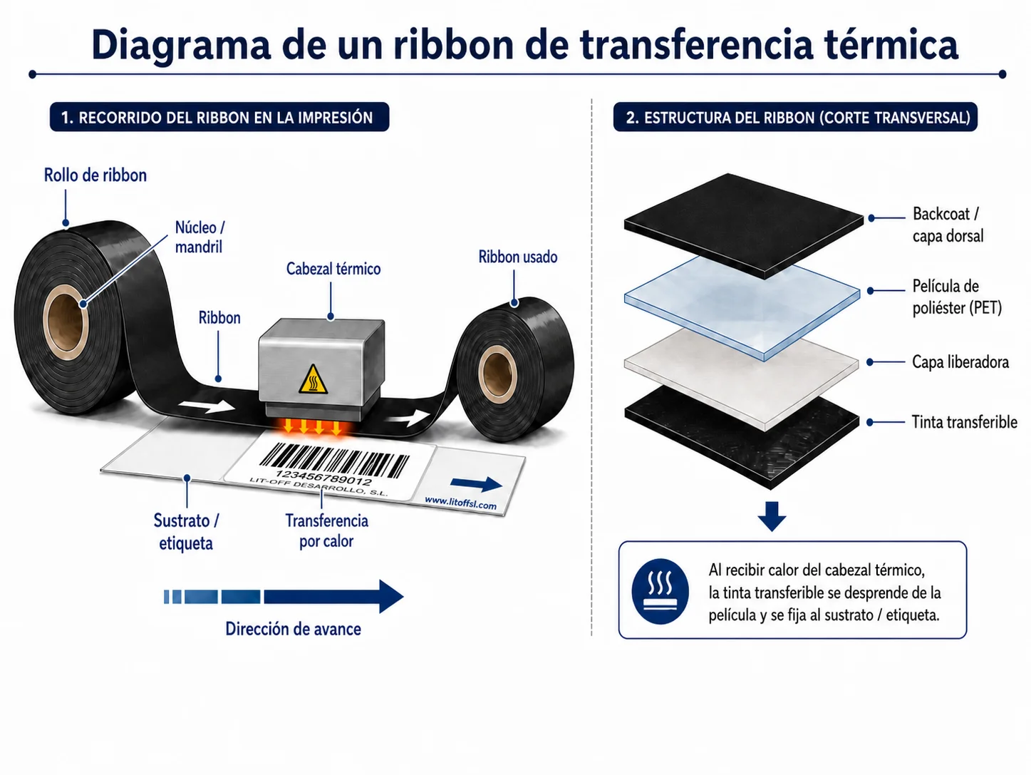 Cómo funciona un ribbon: el calor transfiere la tinta al papel