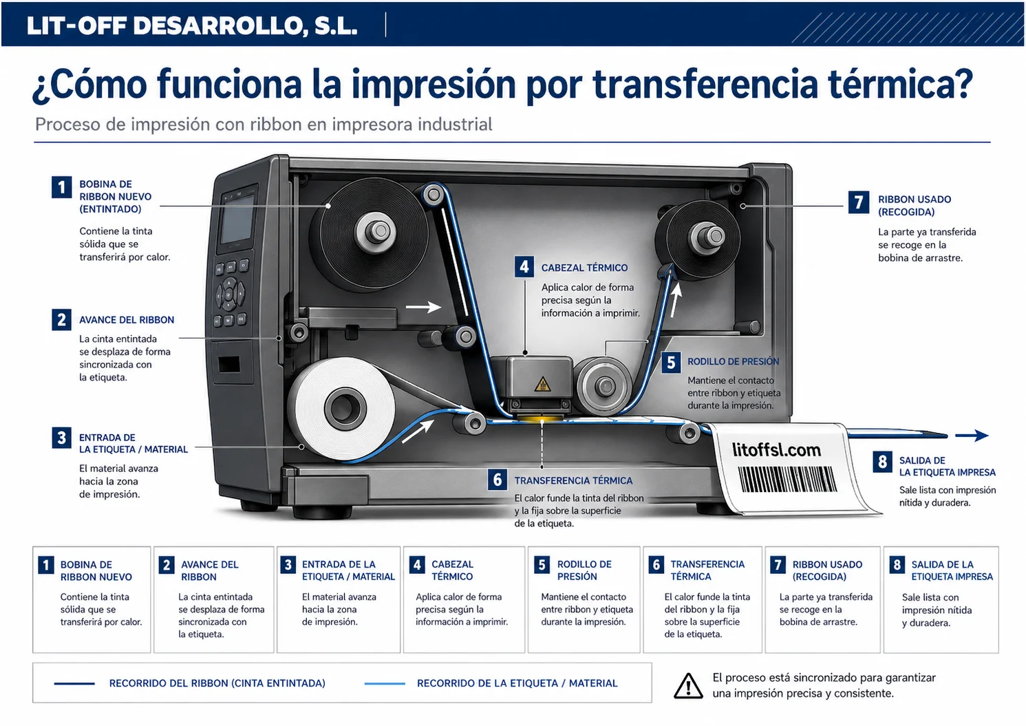 Diagrama del proceso de impresión por transferencia térmica: recorrido del ribbon desde la bobina de suministro hasta la recogida, pasando por el cabezal térmico y el rodillo de presión